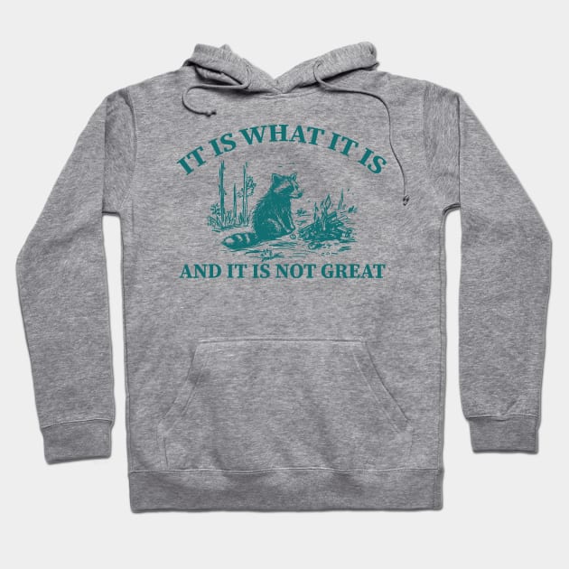 It Is What It Is And It Is Not Great funny raccoon Hoodie by SonyaKorobkova